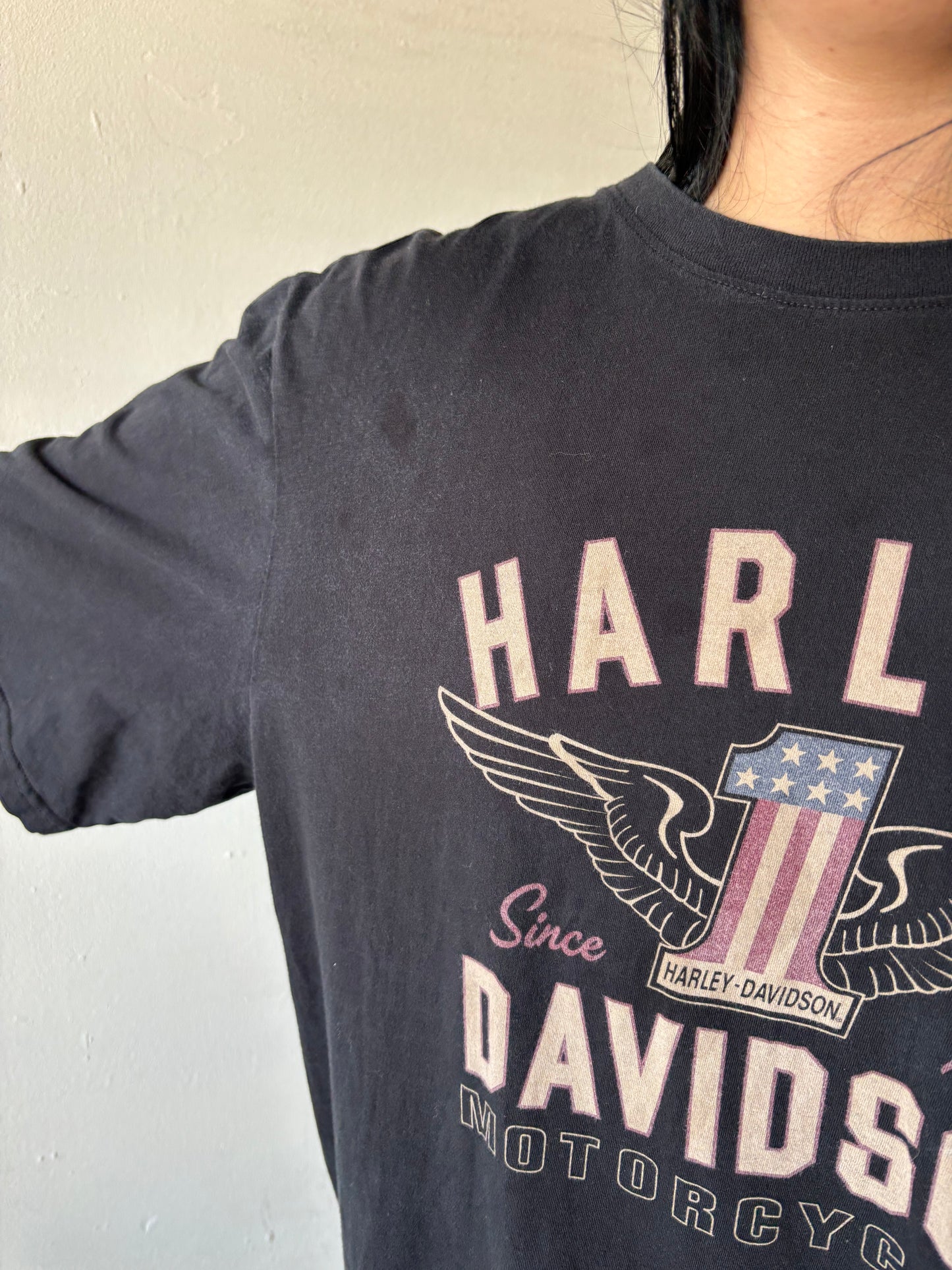 Vintage Harley Davidson Shirt