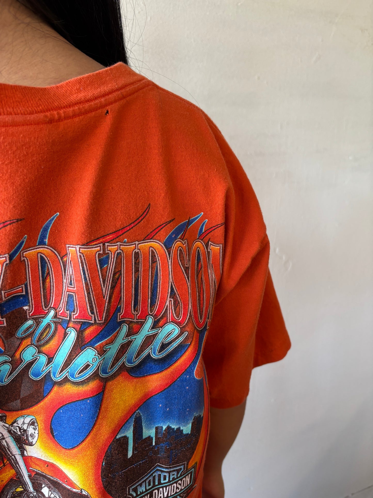 Vintage Harley Davidson Shirt