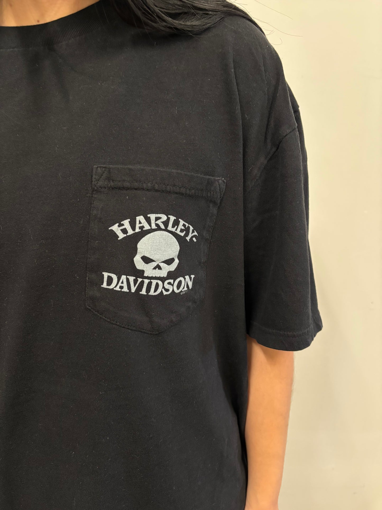 Vintage Harley Davidson West Bridgewater Shirt