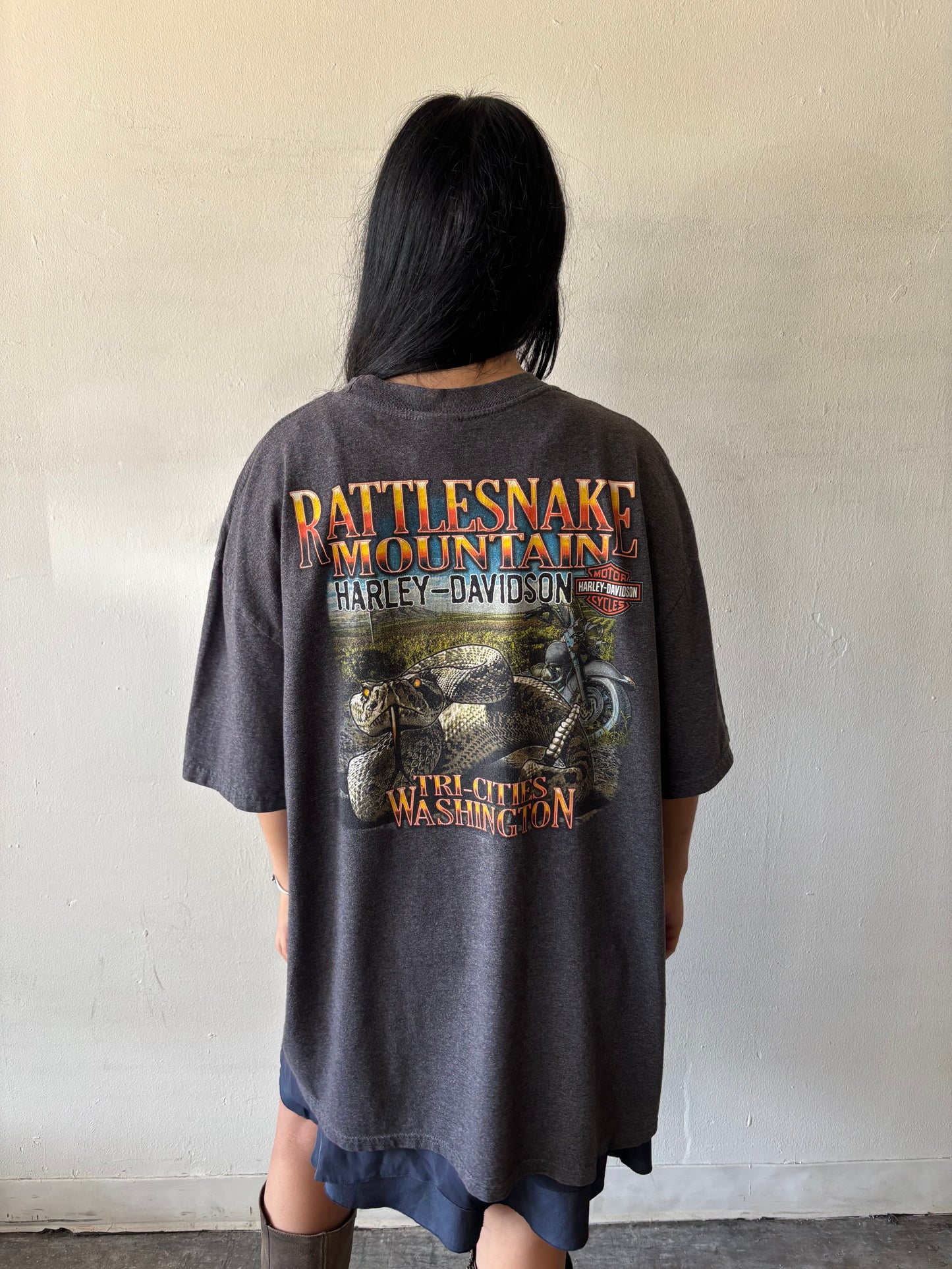 Harley Davidson Washington Shirt