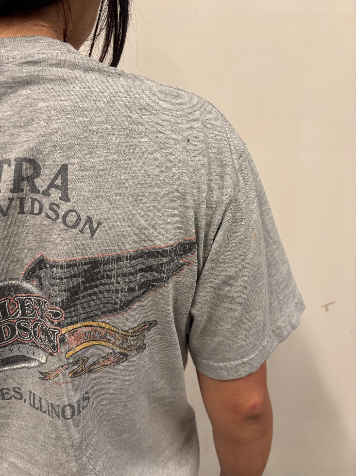 Vintage Harley Davidson Illinois Shirt