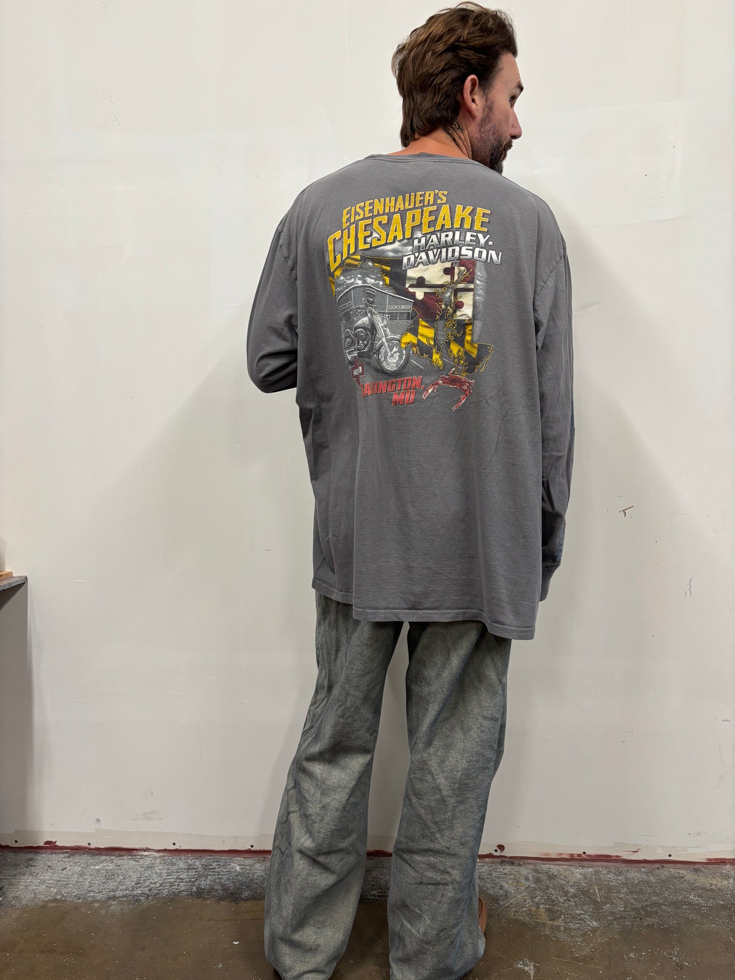 Vintage Harley Davidson Darlington Shirt