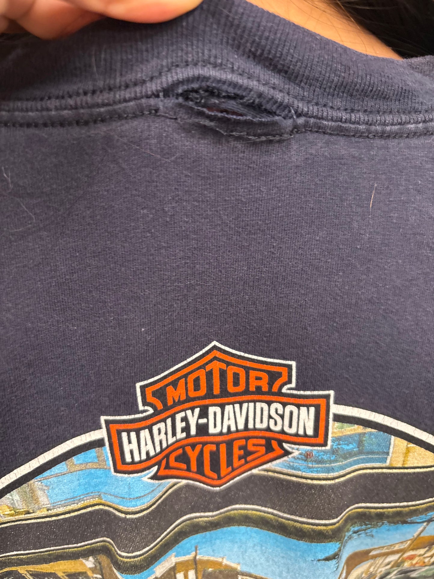 Vintage Harley Davidson California Shirt