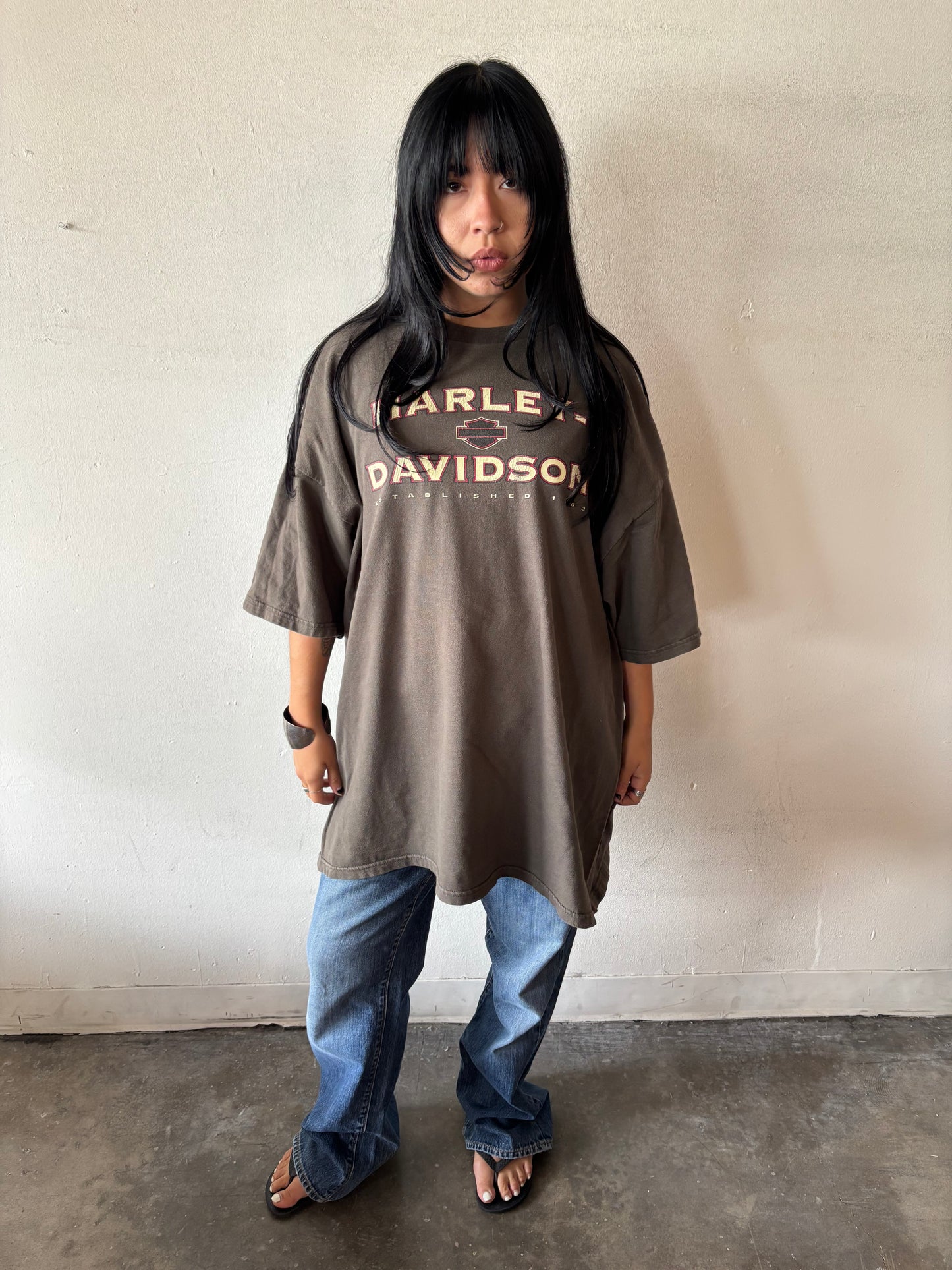 Vintage Harley Davidson Dodge City Shirt