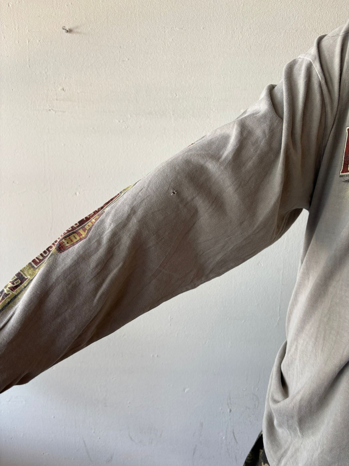 Harley Davidson Shirt