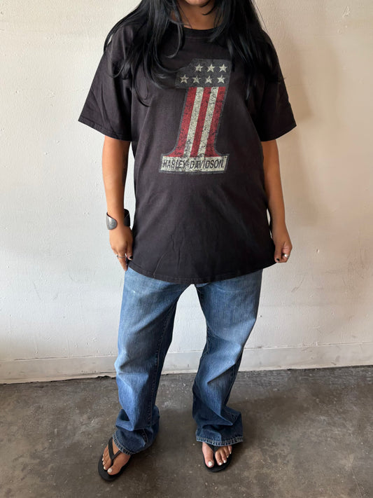 Vintage Harley Davidson Lafayette Shirt