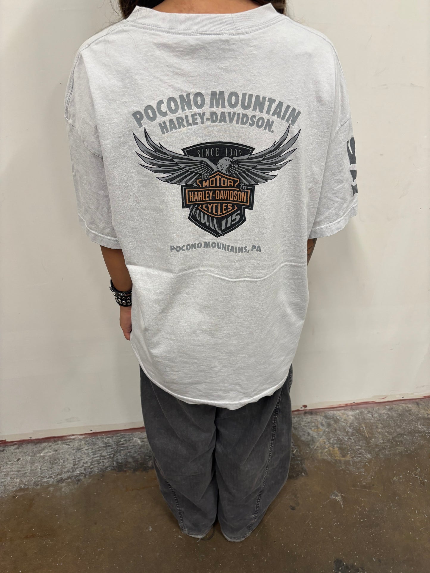 Vintage Harley Davidson Pocono Shirt