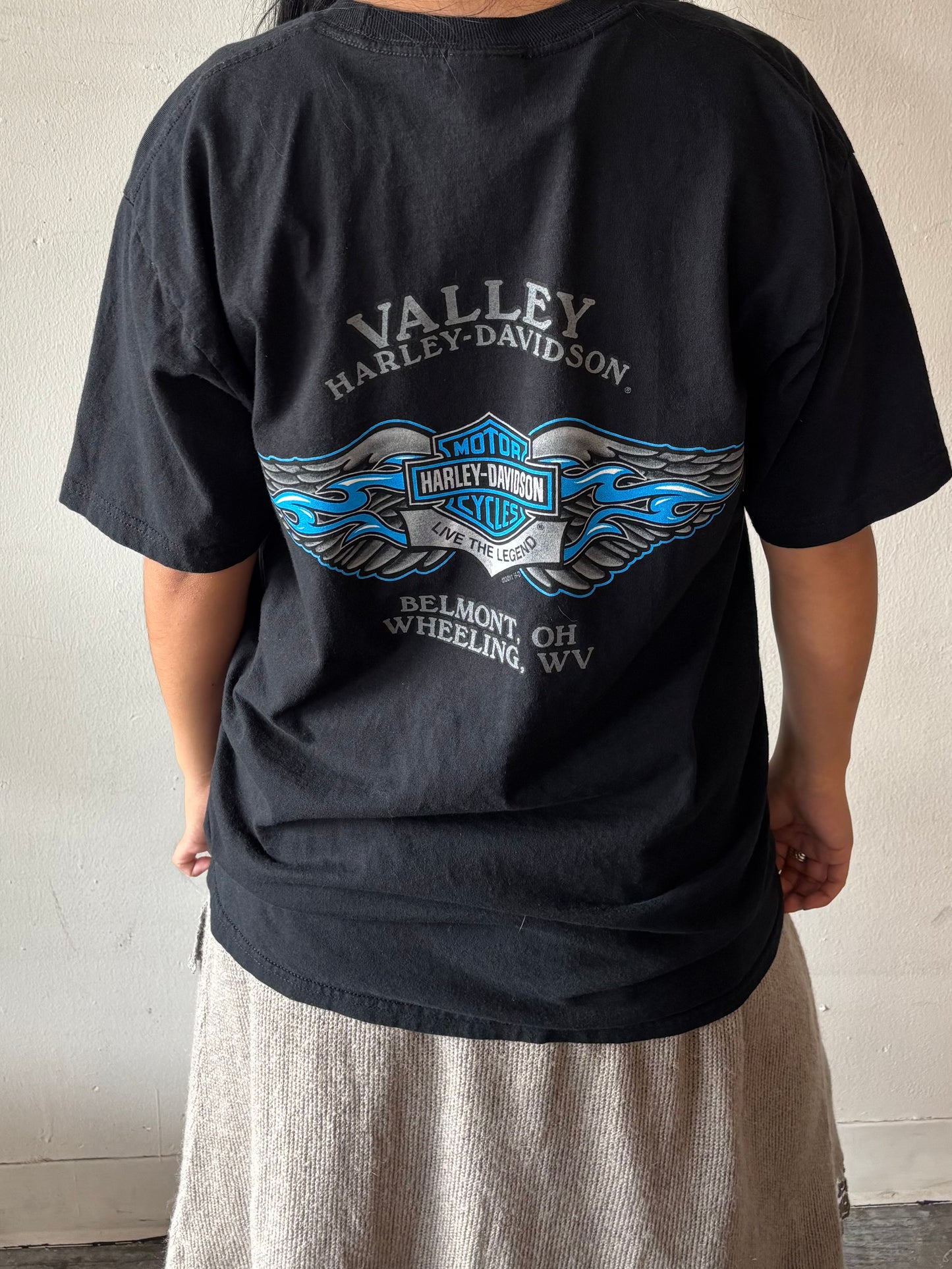 Vintage Harley Davidson Belmont Shirt
