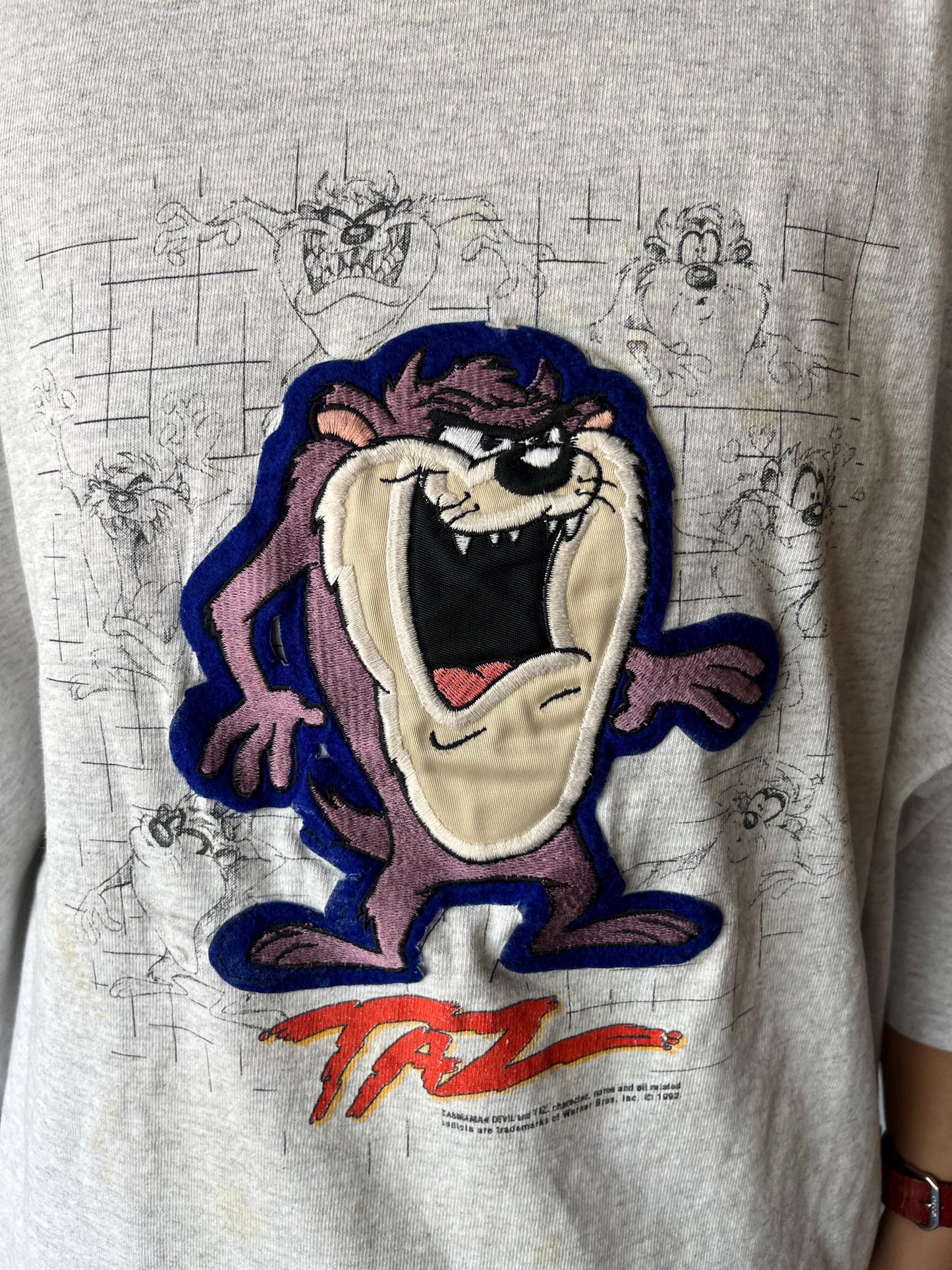 Vintage Taz Embroidered Shirt