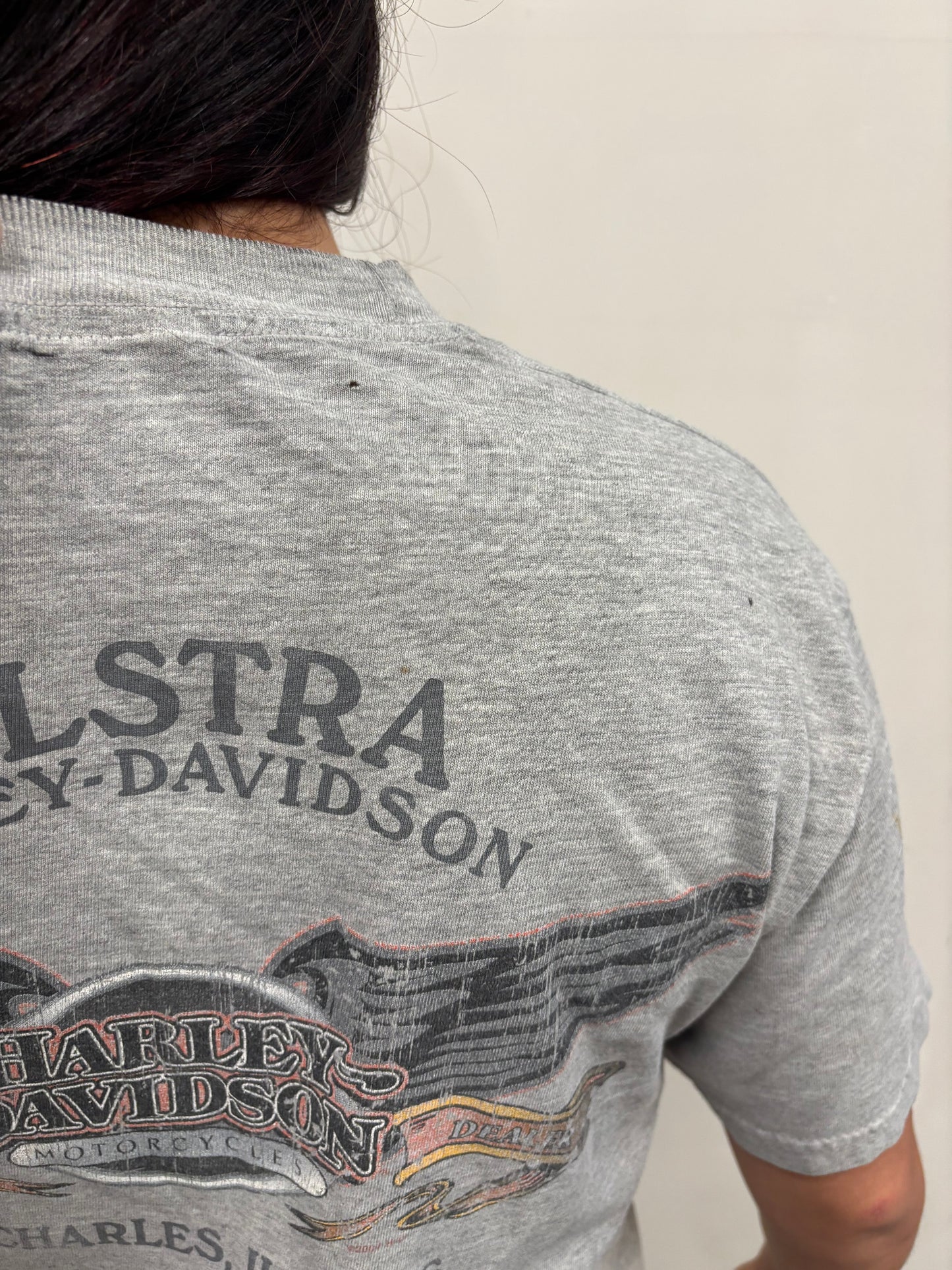 Vintage Harley Davidson Illinois Shirt