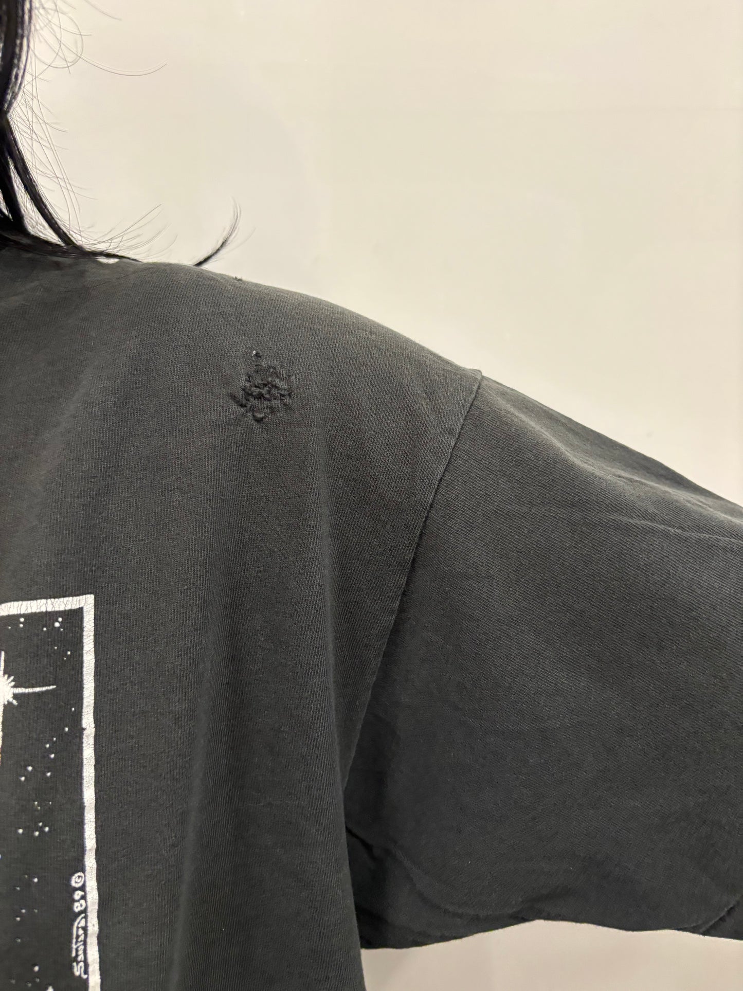 Vintage Wolf W/ Wings Shirt