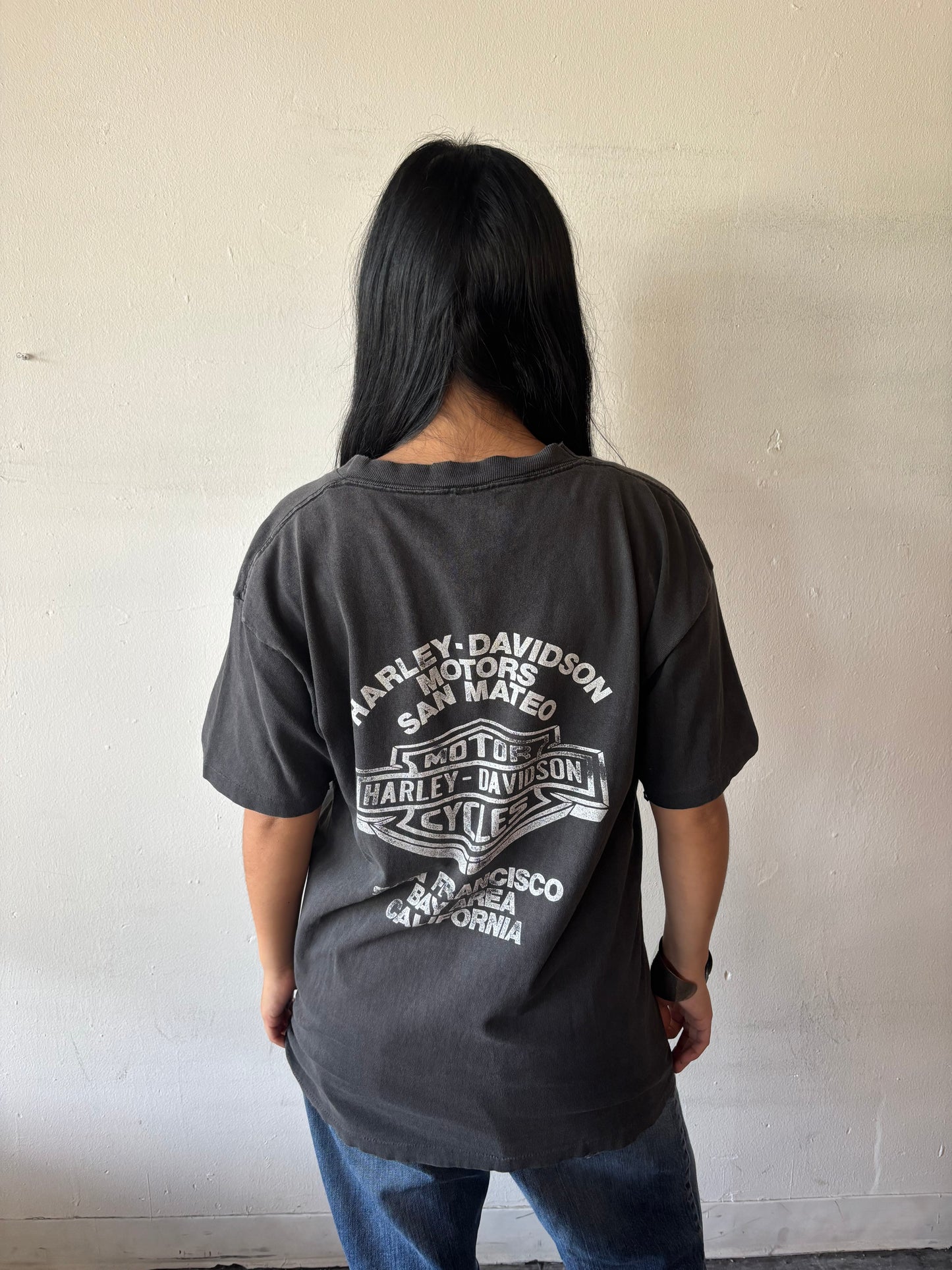 Vintage Harley Davidson Brothers In The Wind Shirt