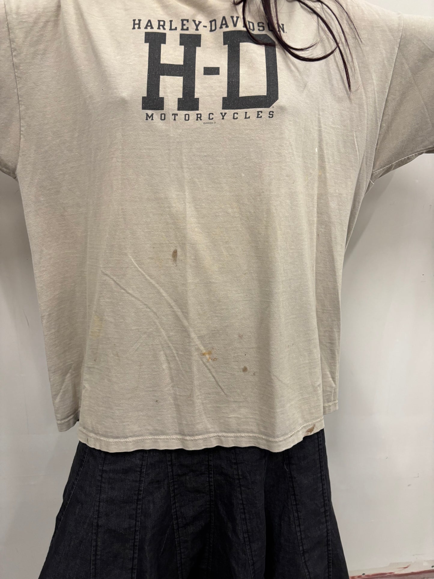 Vintage Harley Davidson Las Vegas Shirt