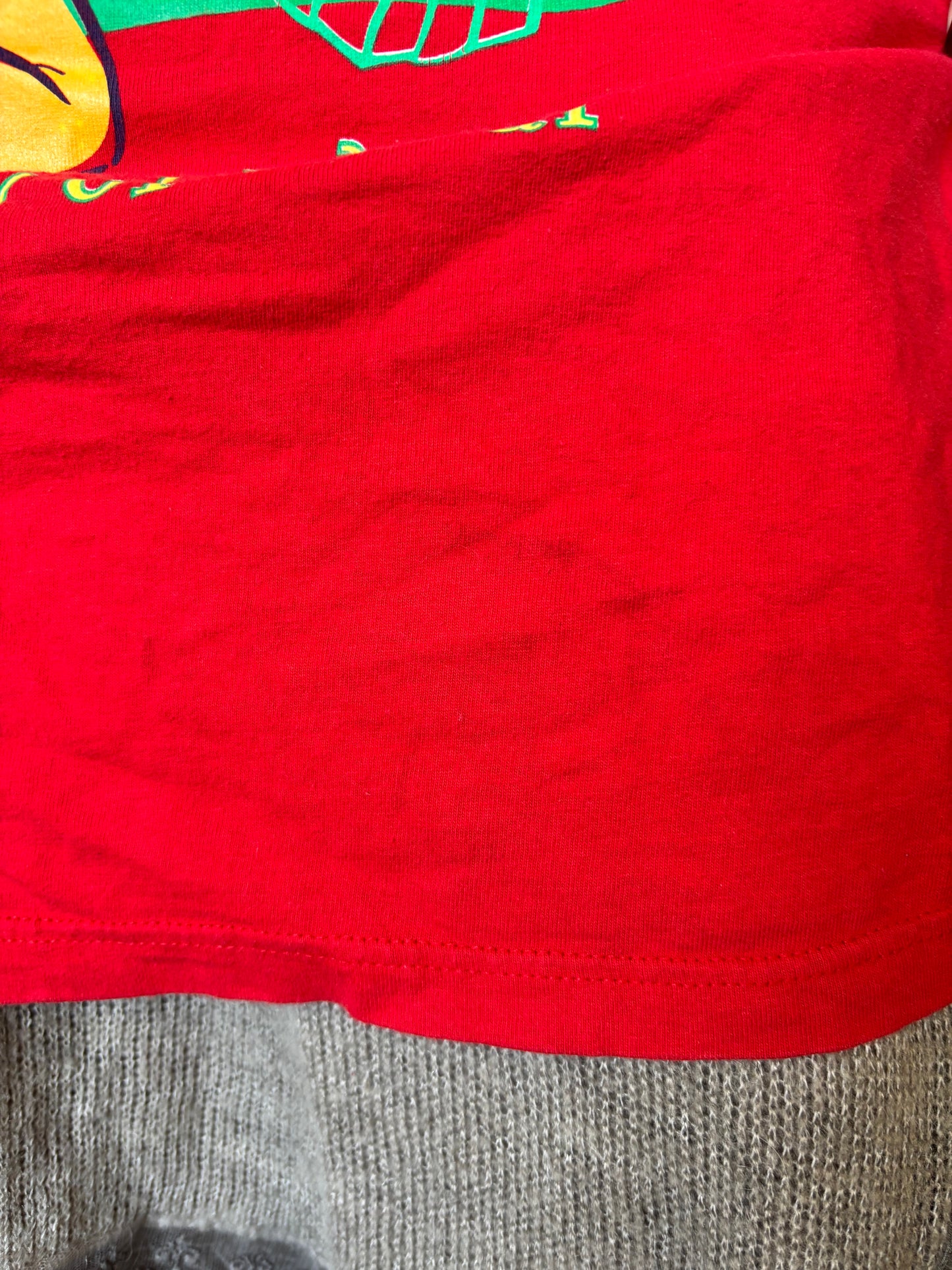 Pooh Bear Christmas Shirt