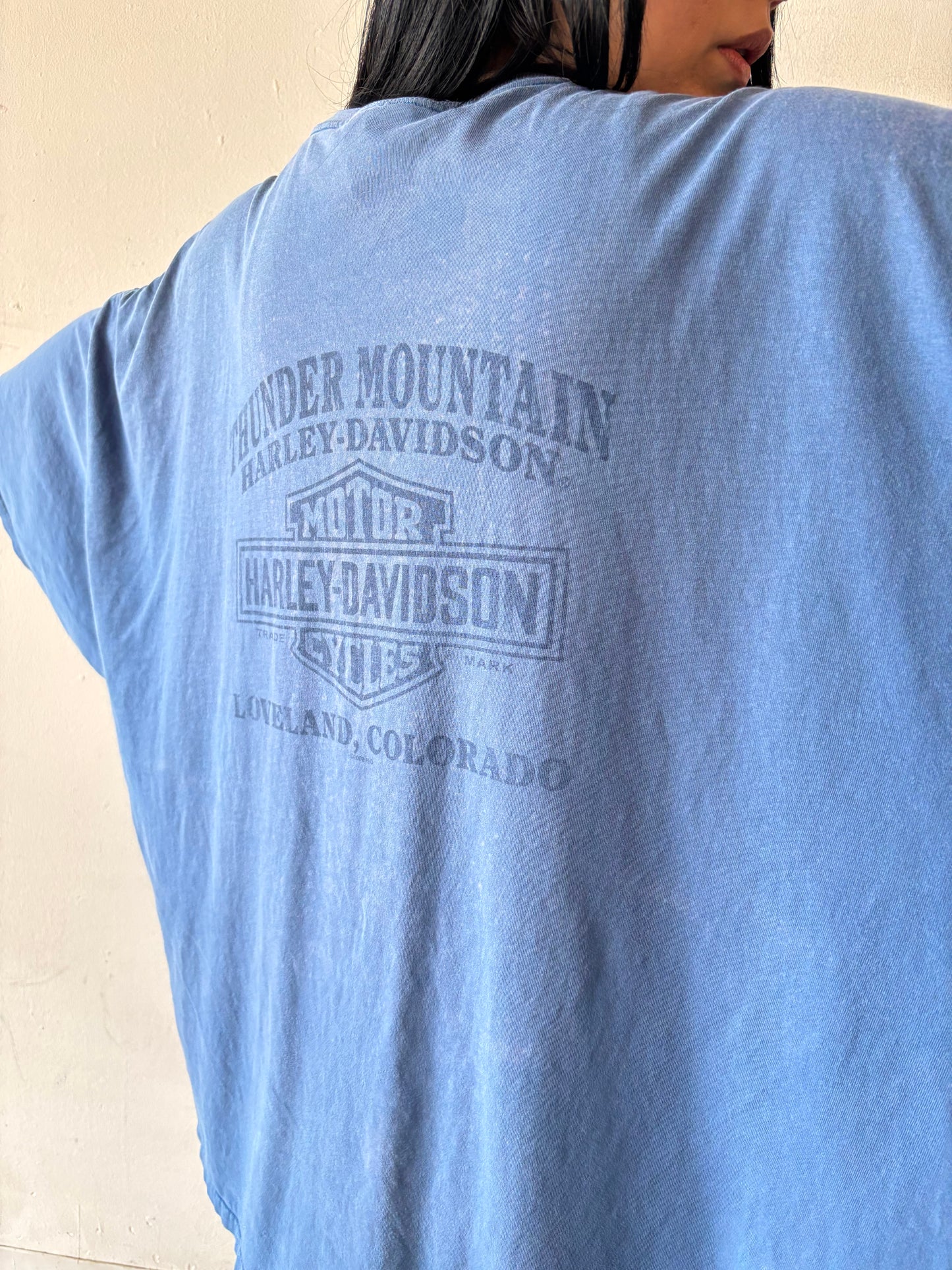 Harley Davidson Colorado Shirt