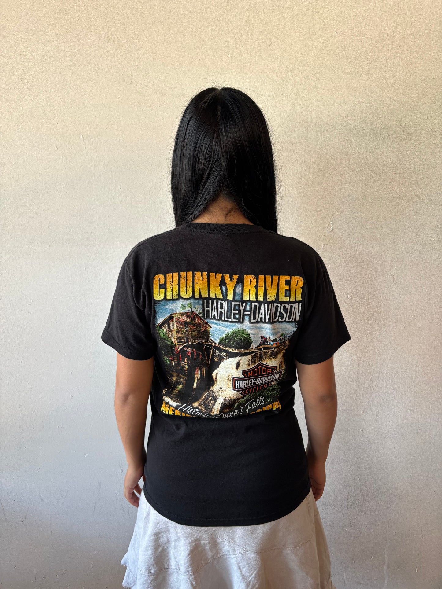 Vintage Harley Davidson Dunns Falls Shirt