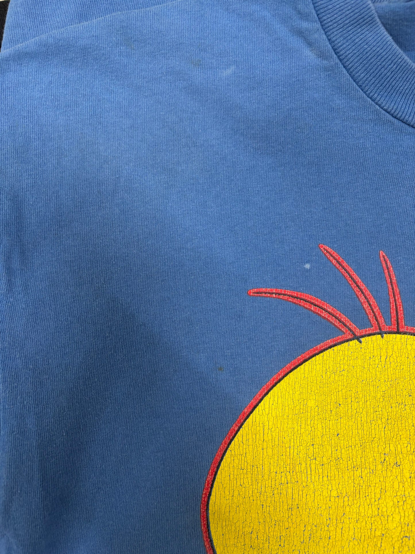 Vintage Tweety Bird Shirt