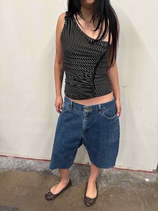 Carhartt Denim Jorts W/ Zipper