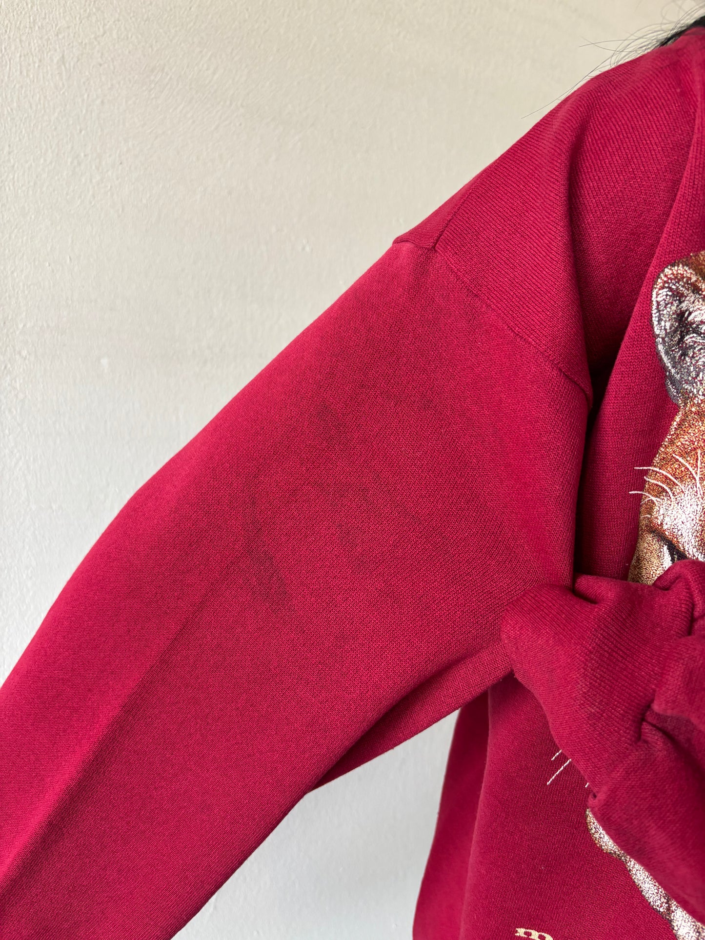 Vintage Mountain Lion Crewneck