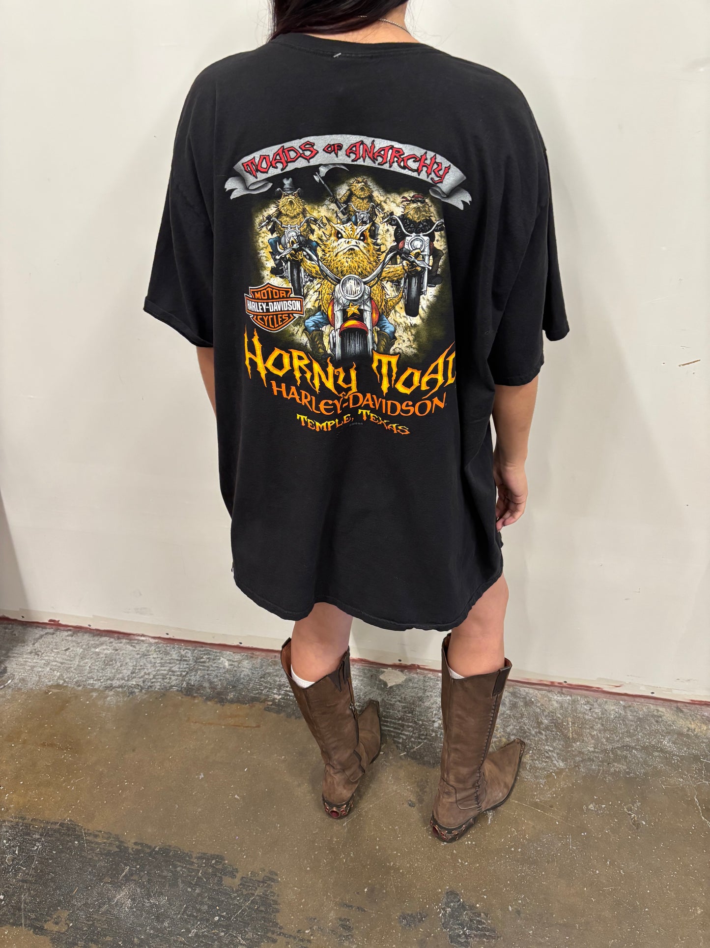 Vintage Harley Davidson Temple Shirt