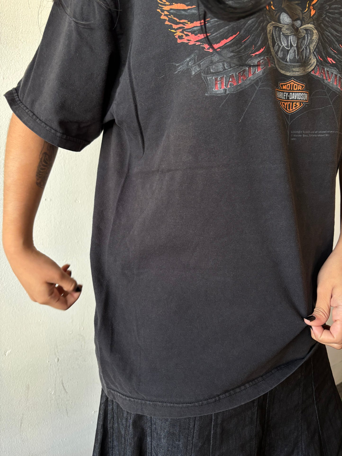 Vintage Harley Davidson Mississippi Shirt