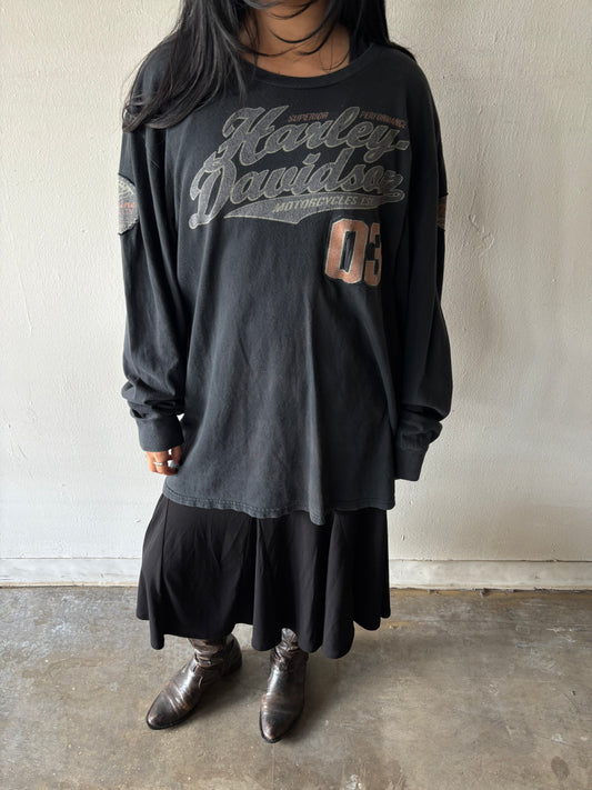 Harley Davidson Illinois Shirt