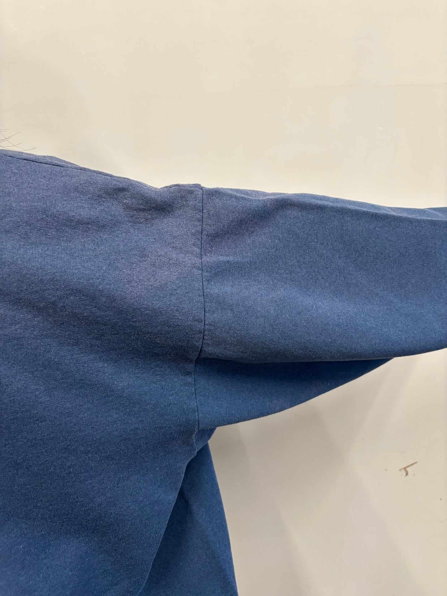 Vintage Taz Crewneck