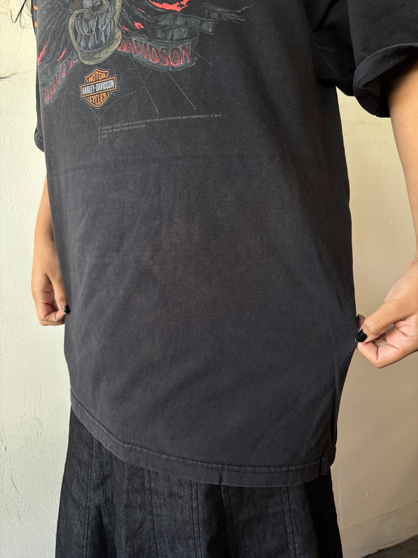 Vintage Harley Davidson Mississippi Shirt