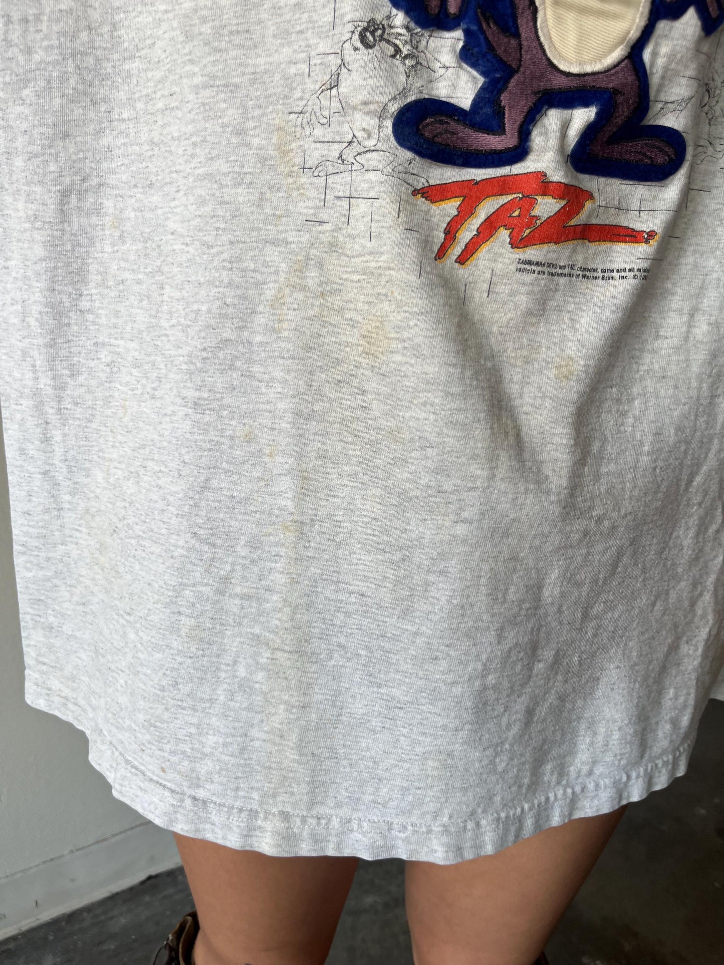 Vintage Taz Embroidered Shirt