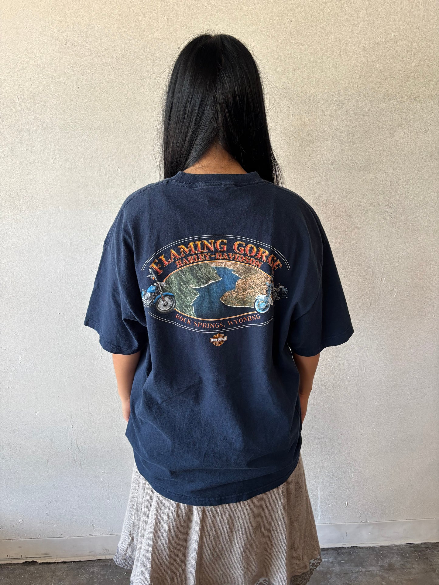 Vintage Harley Davidson Shirt