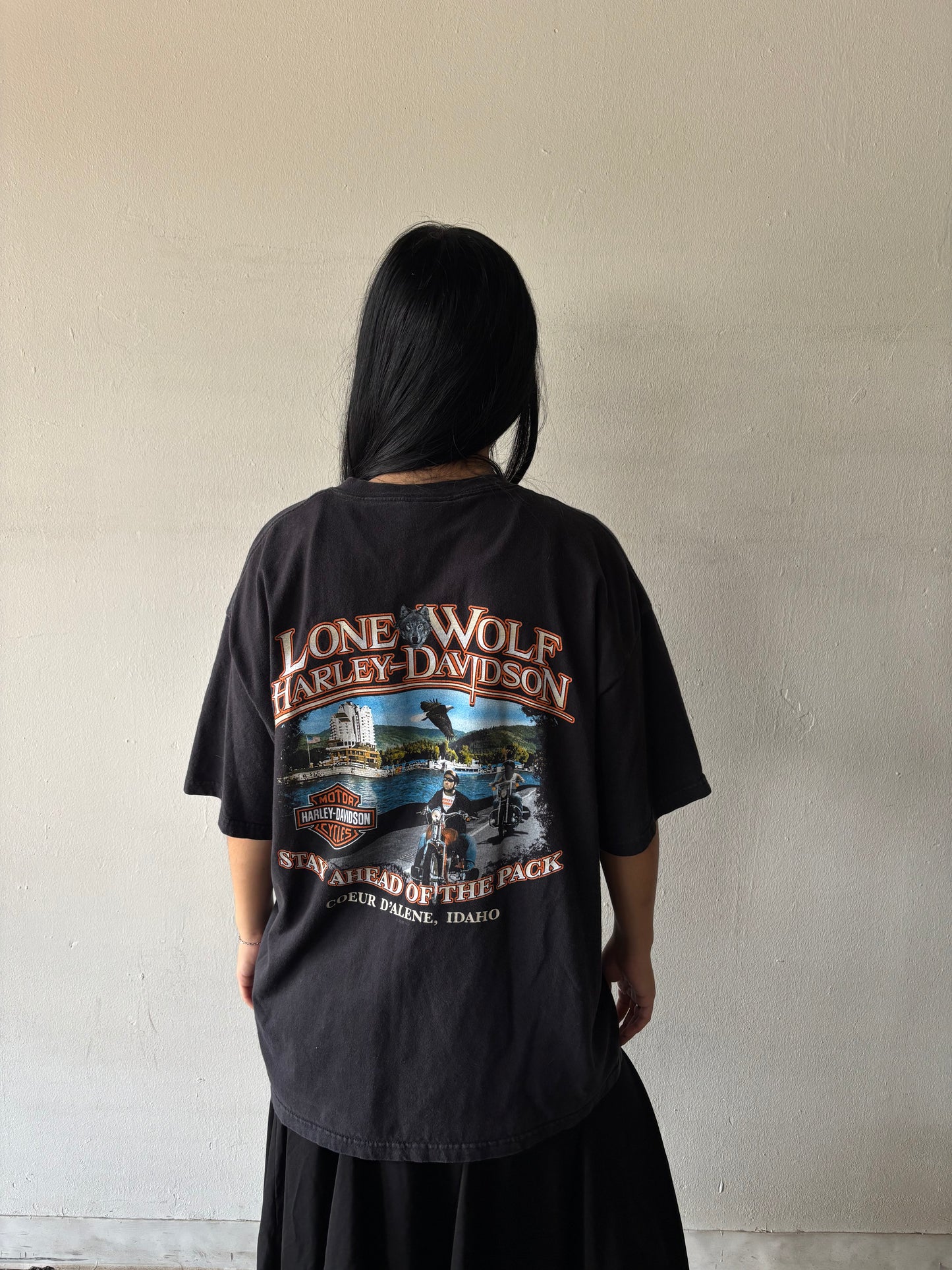 Harley Davidson Idaho Shirt