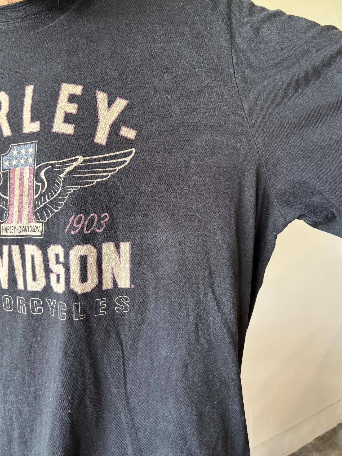 Vintage Harley Davidson Shirt