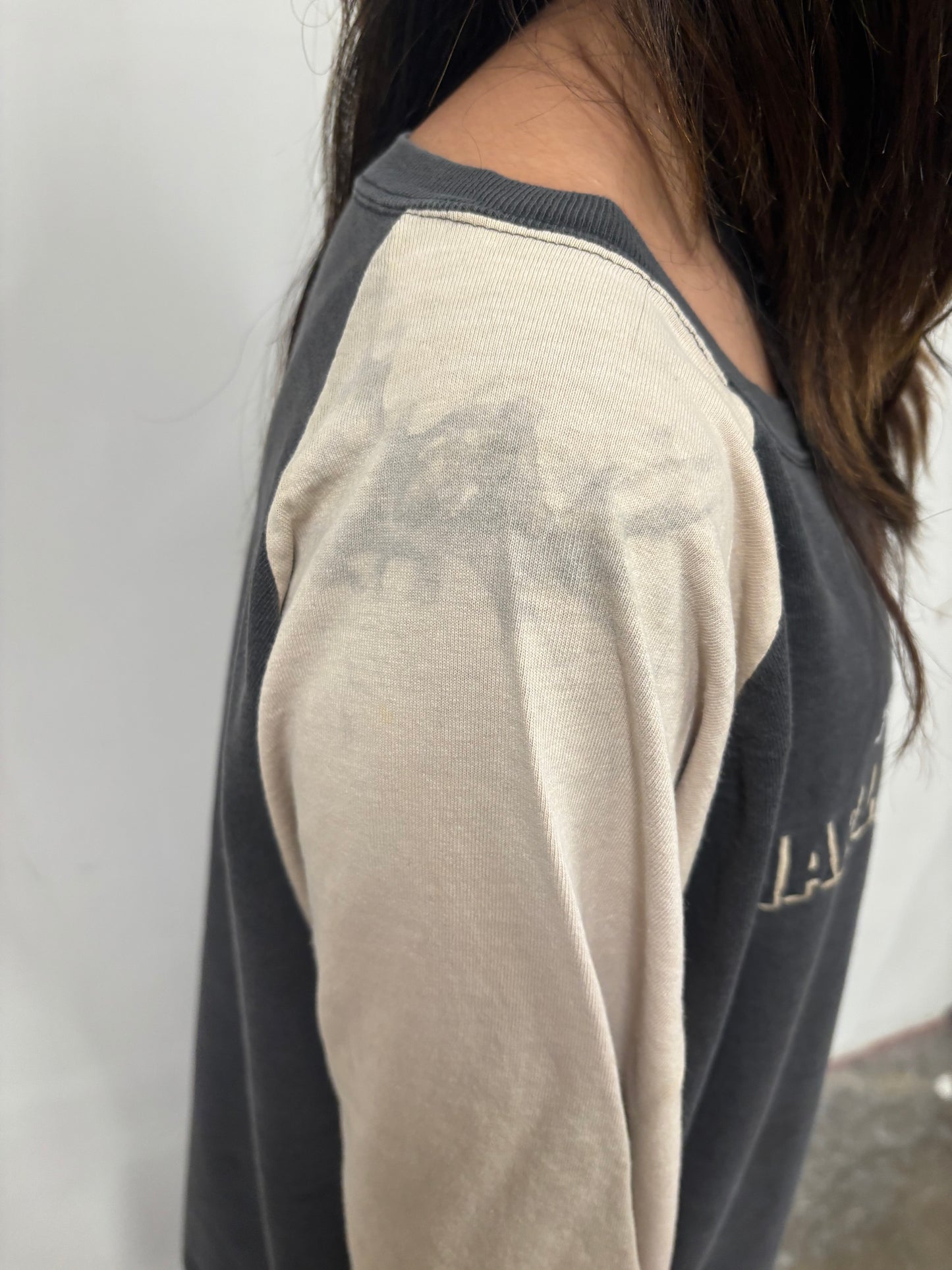 Vintage Harley Davidson American Legend Shirt