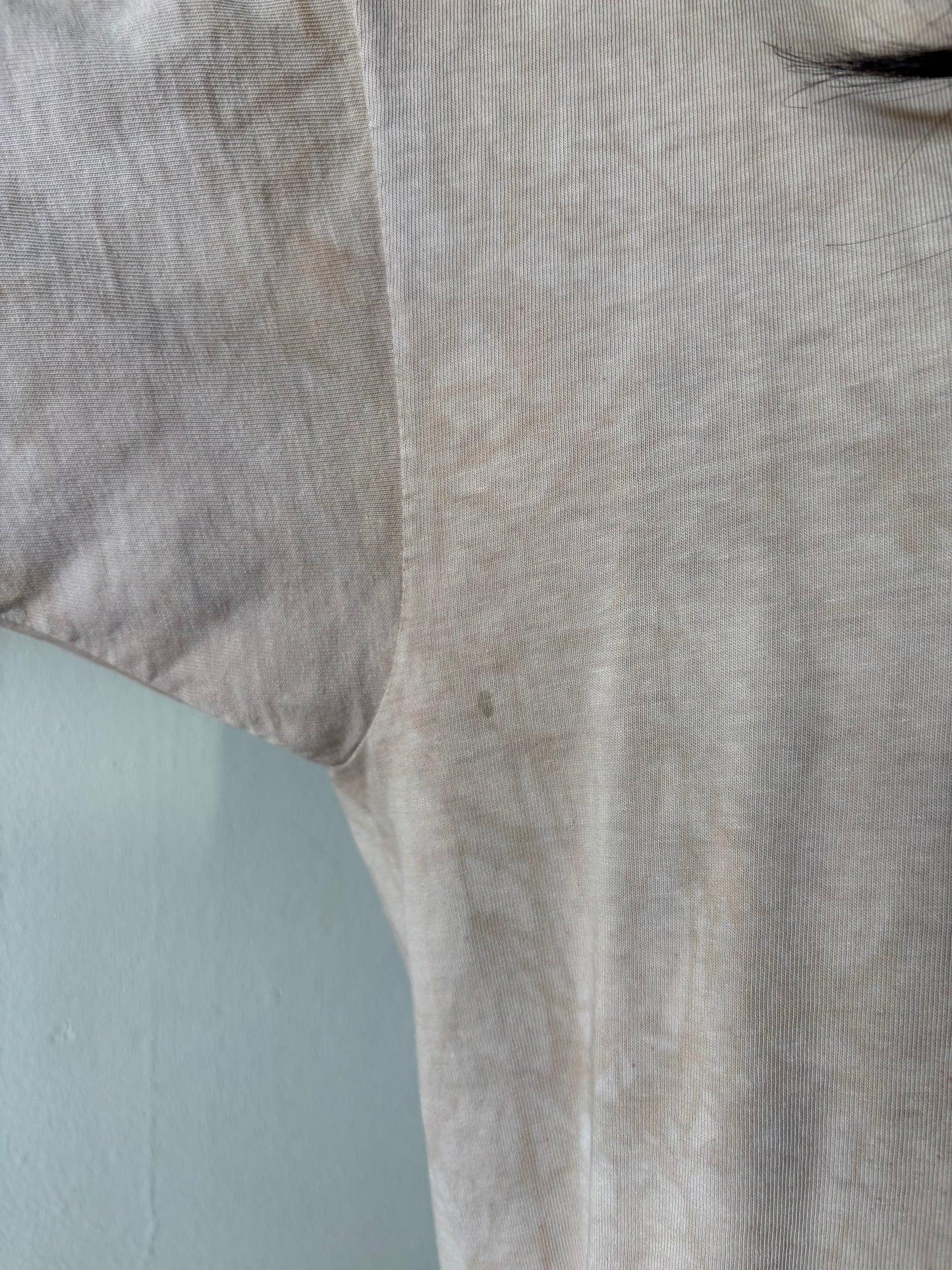 Harley Davidson Germany Shirt