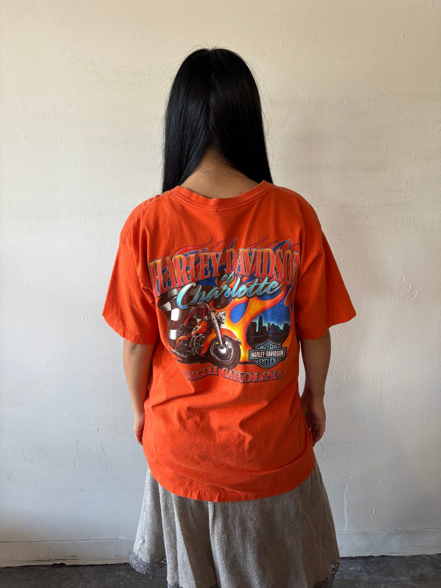 Vintage Harley Davidson Shirt