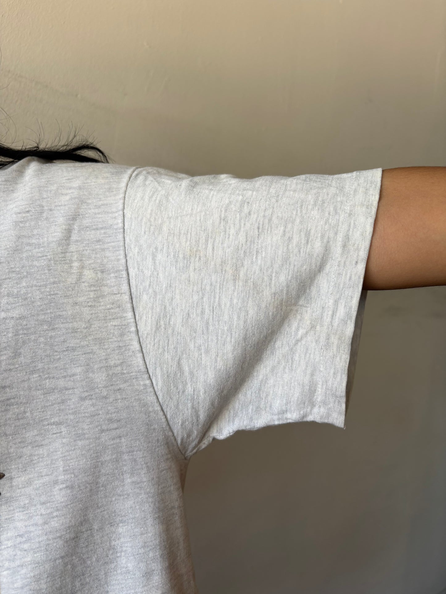 Vintage Scat With The Wind Shirt