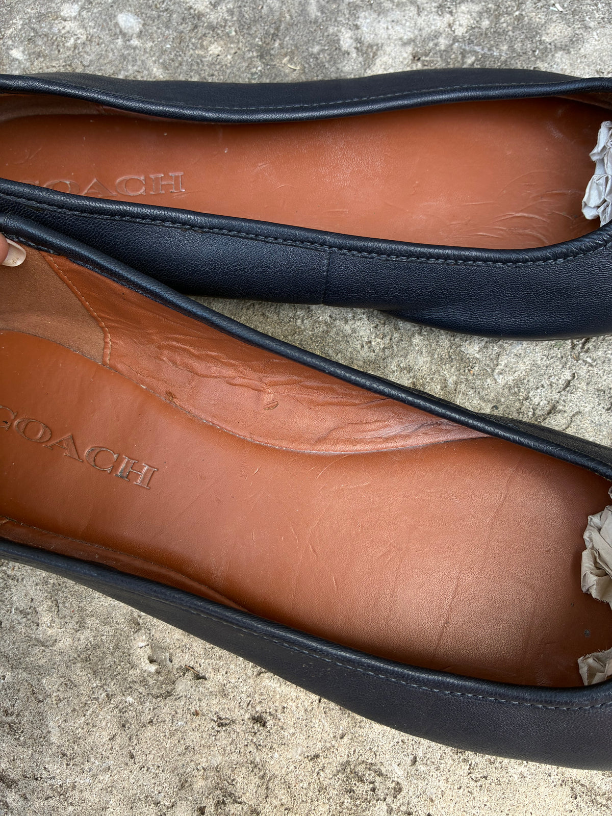 COACH Navy Blue Ballet Flats