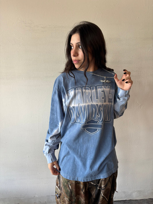 Vintage Harley Davidson Shirt