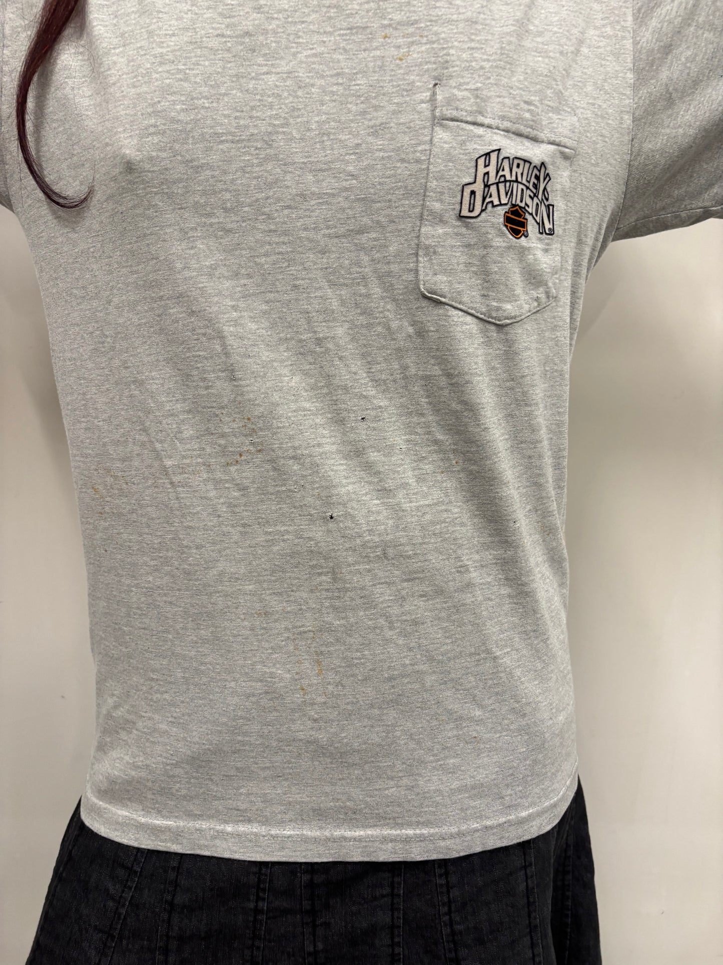 Vintage Harley Davidson Illinois Shirt