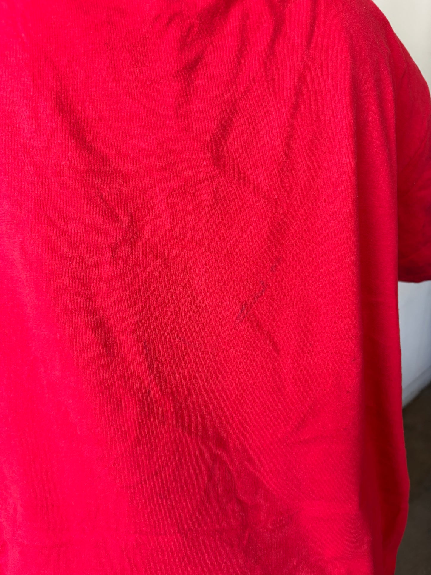 Pooh Bear Christmas Shirt