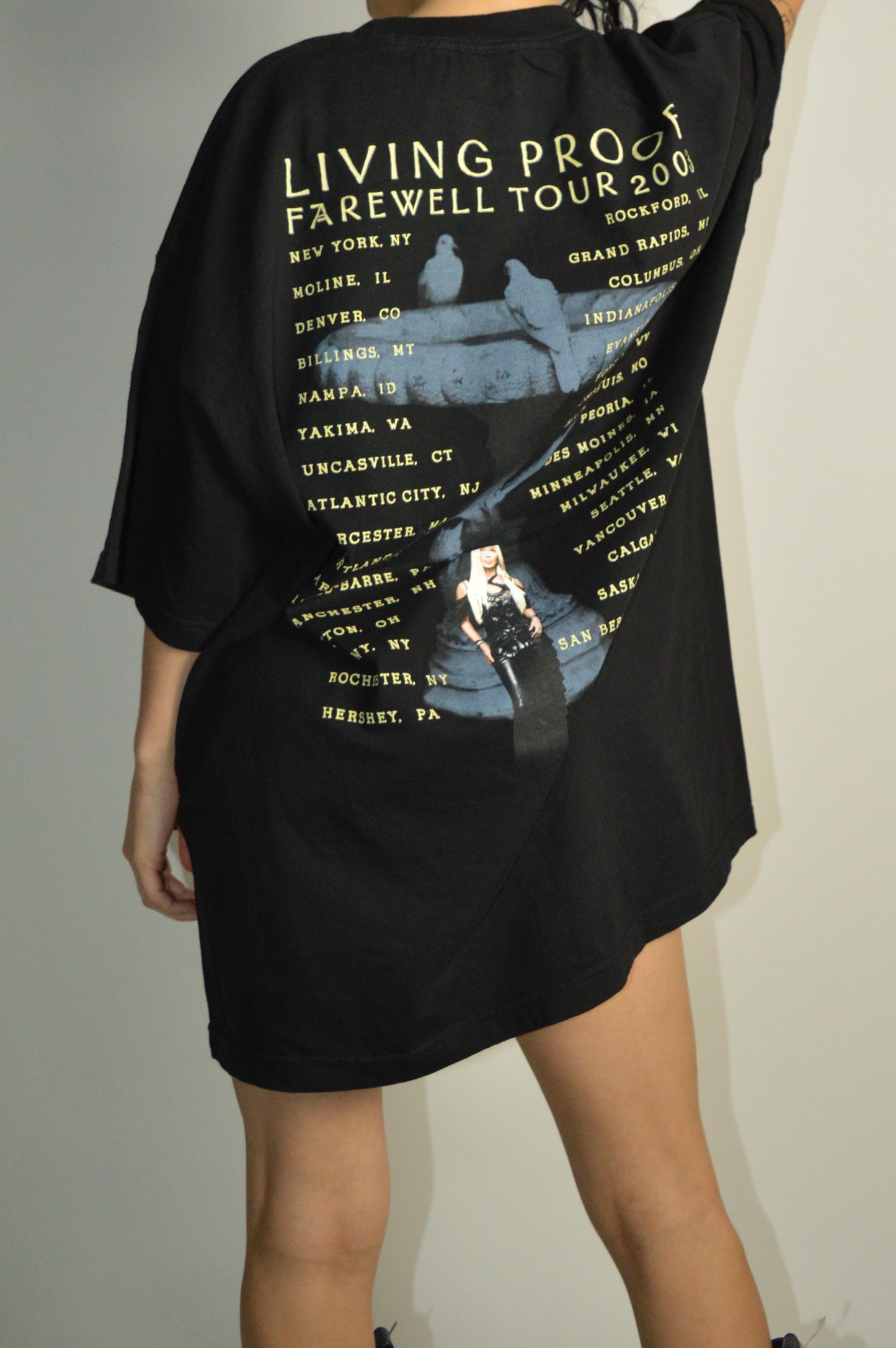 Vintage 2003 Cher Tour Shirt