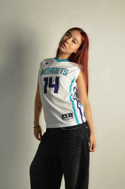 Charlotte Hornets Jersey