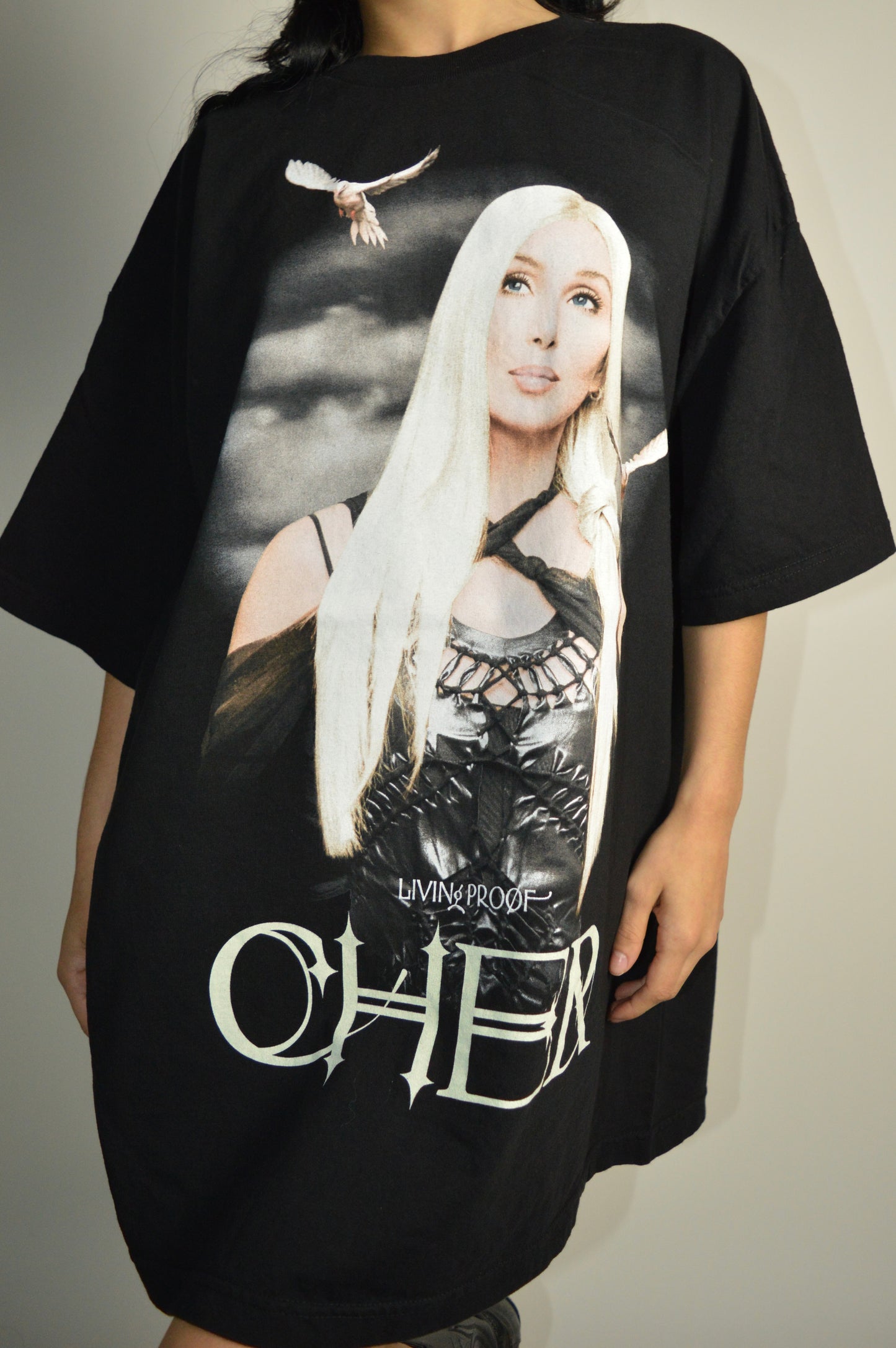 Vintage 2003 Cher Tour Shirt